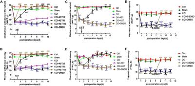 Astragalin Alleviates Neuropathic Pain by Suppressing P2X4-Mediated Signaling in the Dorsal Root Ganglia of Rats